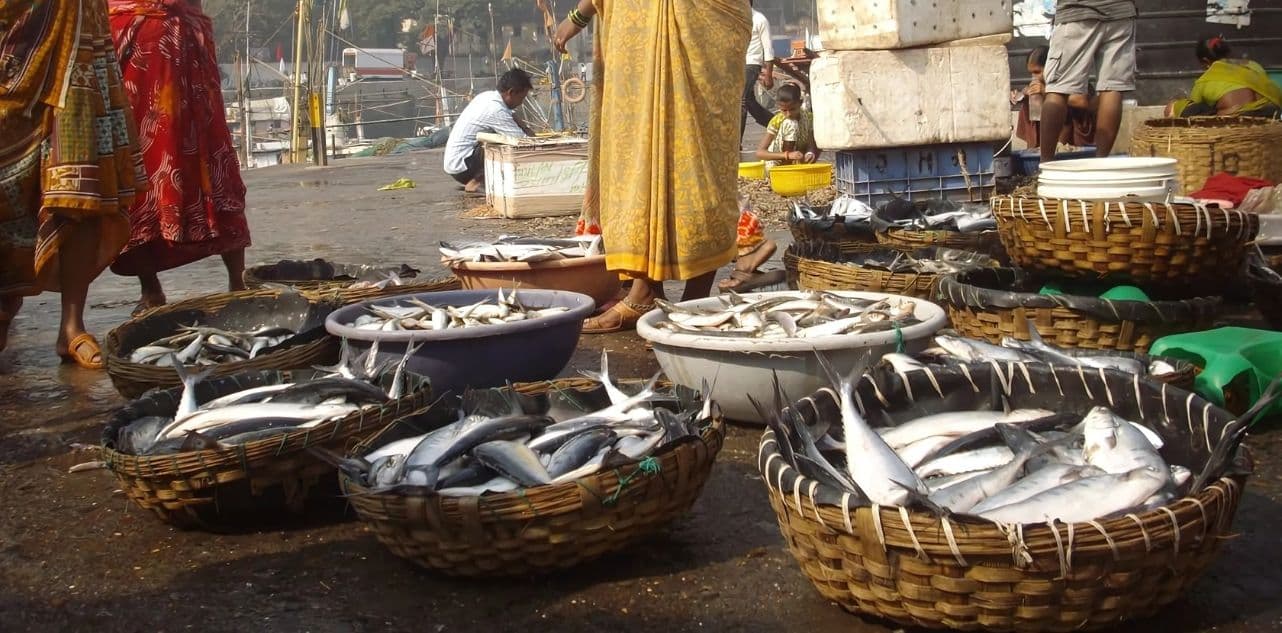 Seafood Industry
