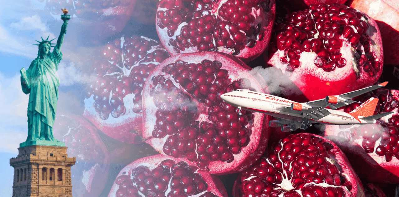 Indian Pomegranates