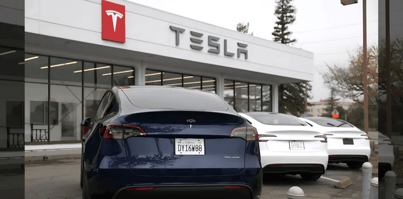 Tesla India