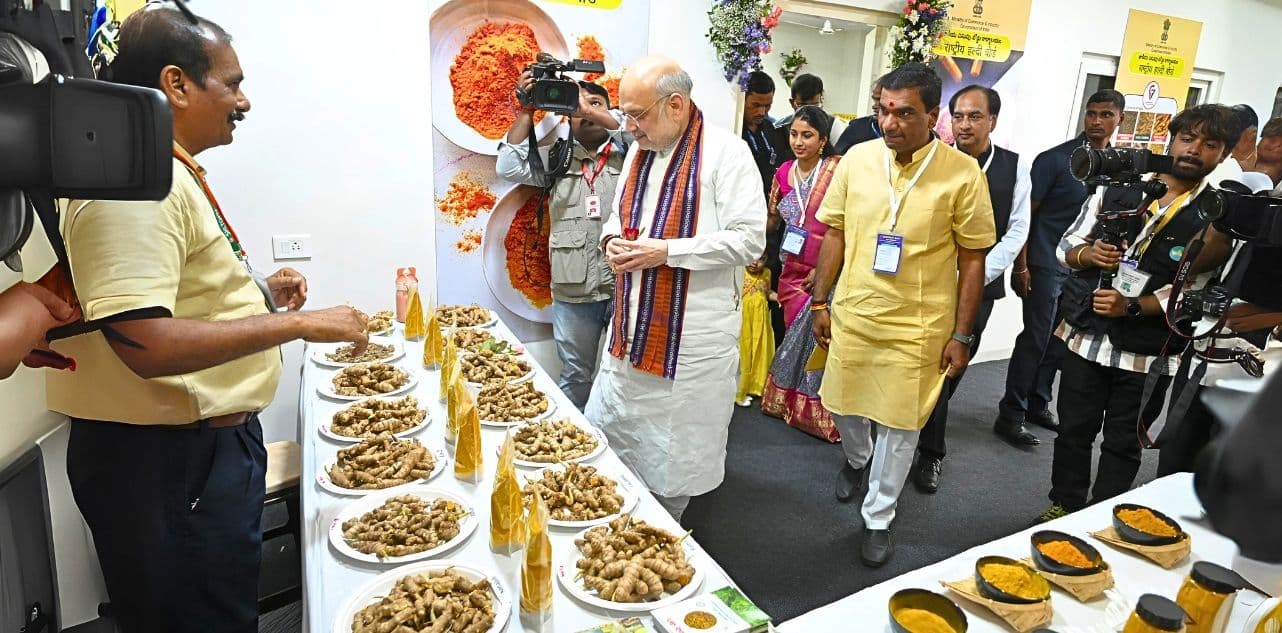 Turmeric Exports