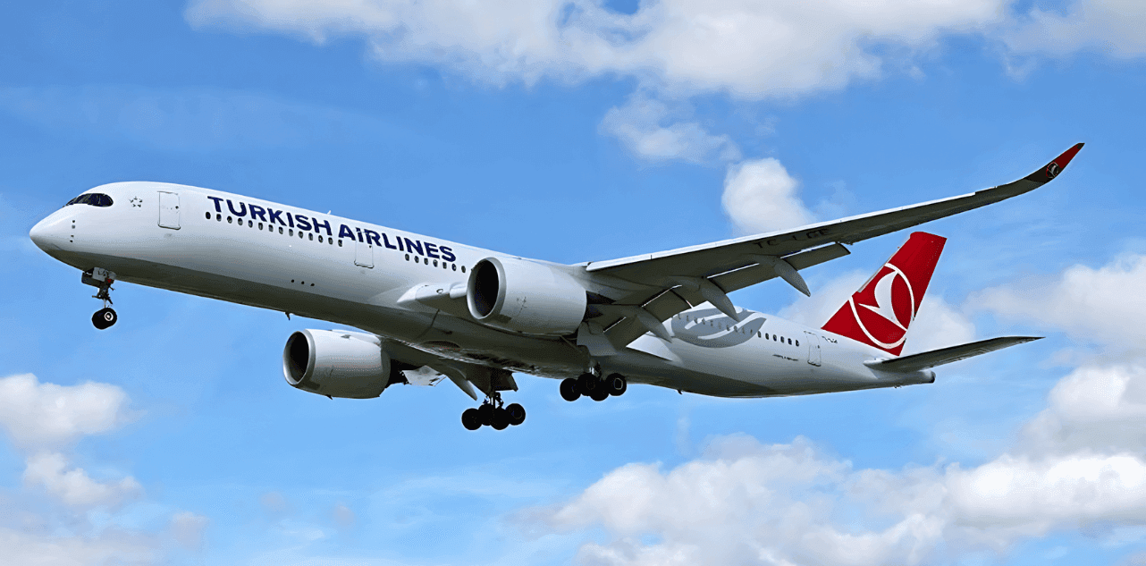 Istanbul-San Francisco flight