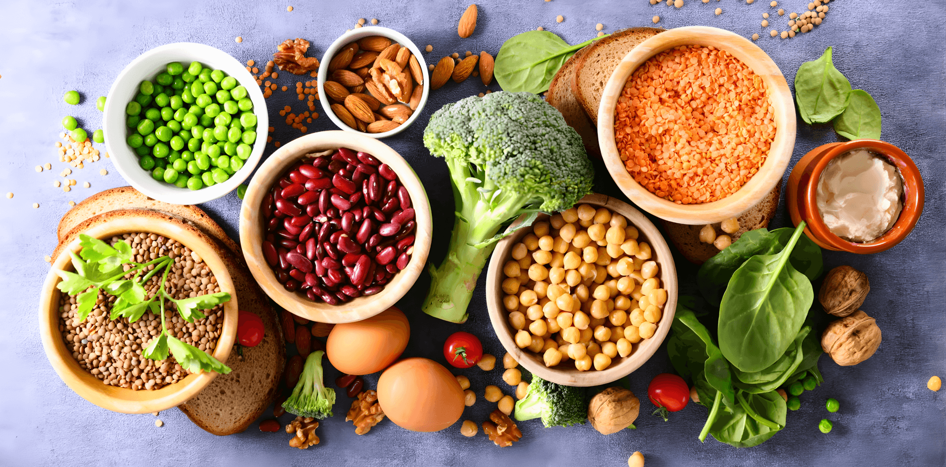 highest protein foods