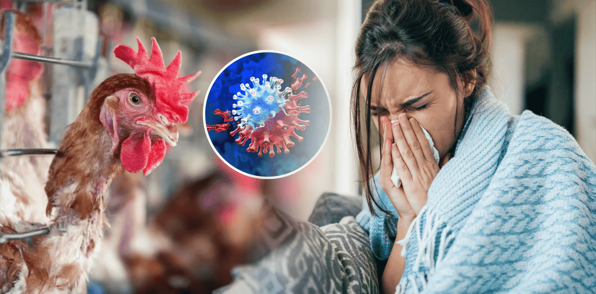 Bird flu symptoms in the US human