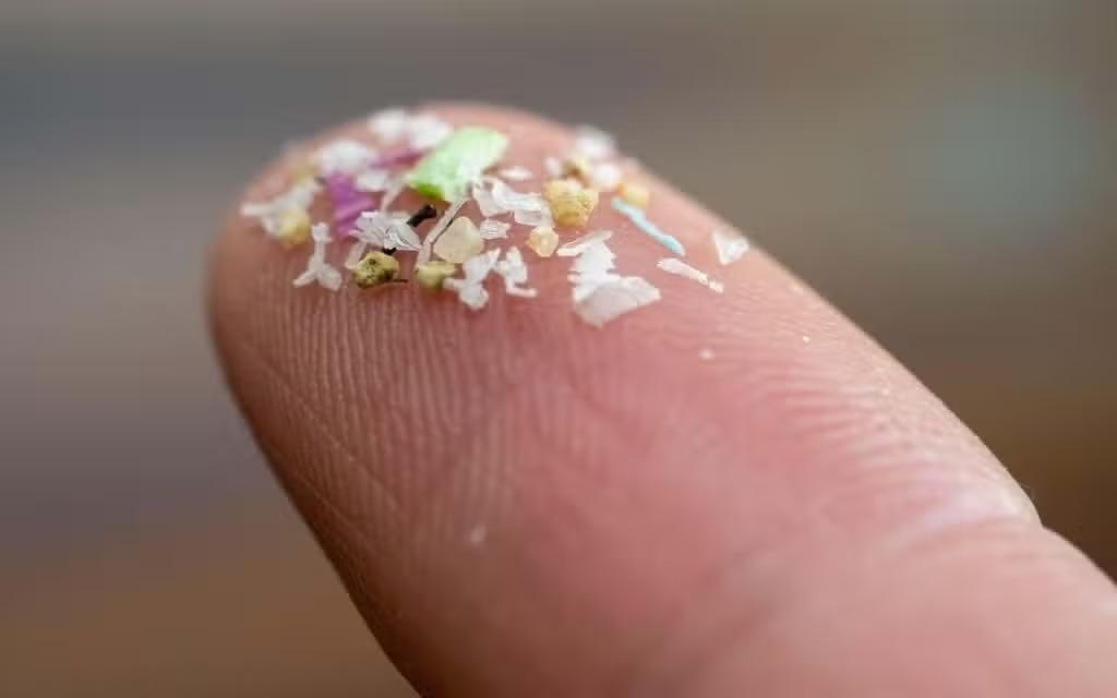 Microplastic Infiltration in Human Semen