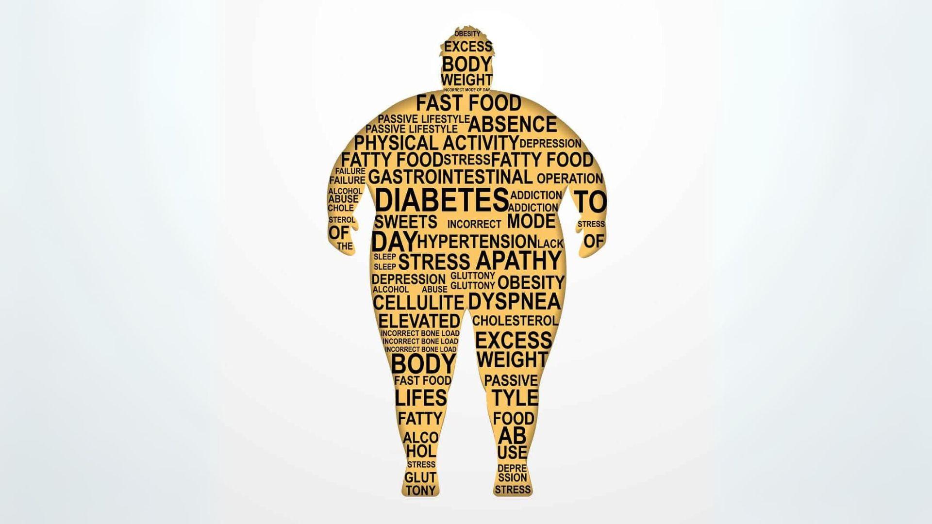 Obesity and Chronic Diseases: Understanding the Connection