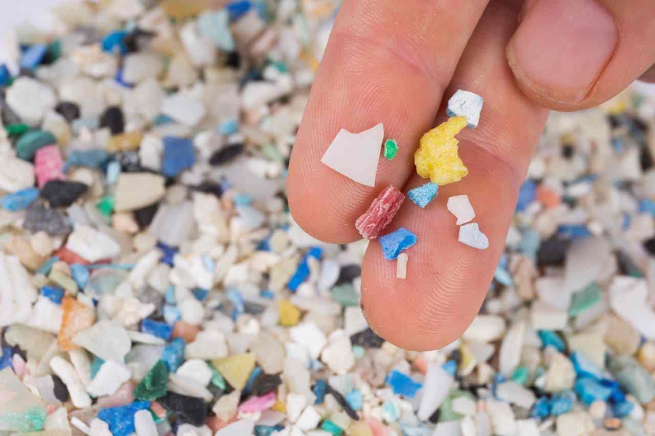Microplastics in Brain: A New Health Concern