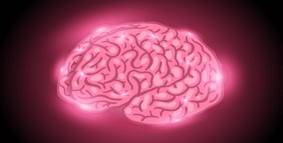 Which Love ‘Sparks Your Brain’ the Most?