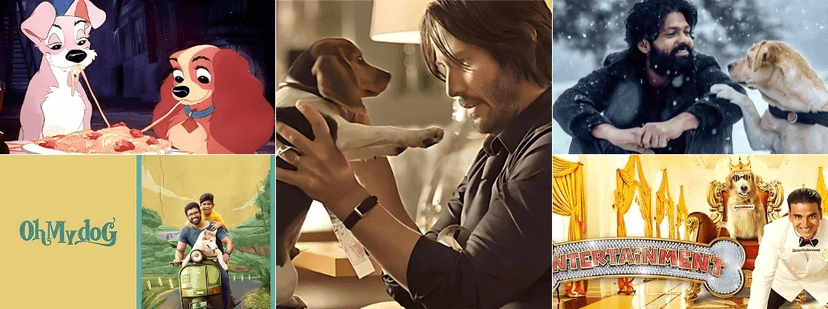 Timeless Dog Movies: Classic Films Featuring Our Furry Friends