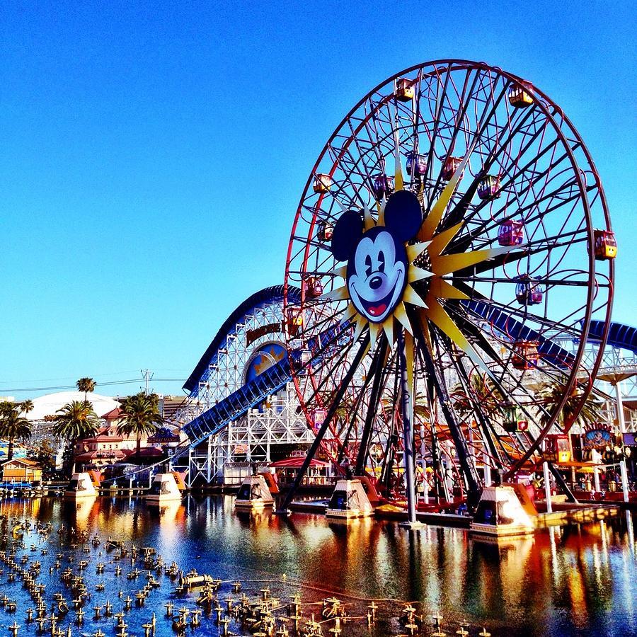 Disneyland Arrests Woman Attempting to Sneak Kids into Park for Free