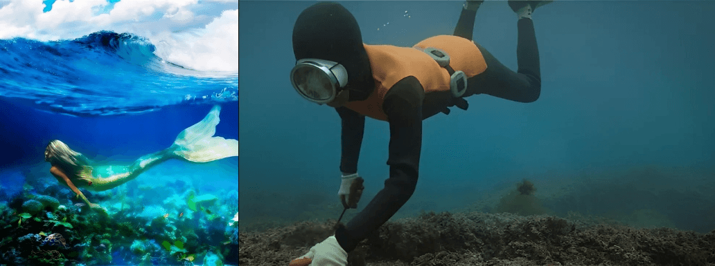 The Haenyeo: Real-Life Mermaids of South Korea