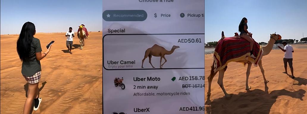 ‘Lost in Desert’ Tourists Order Uber Camel in Dubai