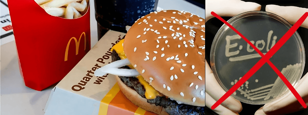 Quarter Pounders Return: ‘No E. coli’ in McDonald’s Beef Patties