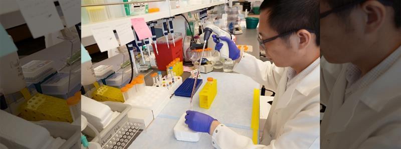 Research in Progress on Jaw-Dropping Connection between COVID-19 Infection and Cancer Reversion