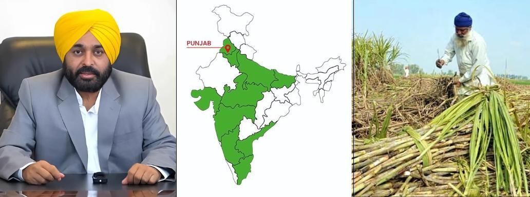 Punjab Hikes Sugarcane SAP: Farmers to Get Highest Rate in the Country
