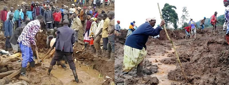 Uganda Red Cross Society Rescue Workers Saving Survivors Buried in the Landslide