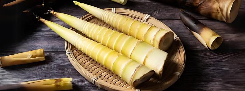 Do you know ‘Fermented bamboo shoot of Tripura’ Possesses Anti-obesity Property…..!