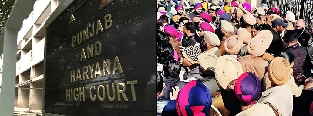 Punjab MC Elections: HC Orders Adherence to Videography During Nominations Process