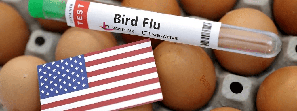 California Declares State of Emergency due to Bird Flu Outbreak