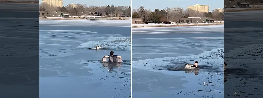 Heart-Wrenching Moment! Man Jumps into Narmada Canal to Save His Pet Dog, Drowns