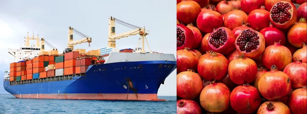 First-Ever Sea Shipments of Indian Pomegranates to Australia