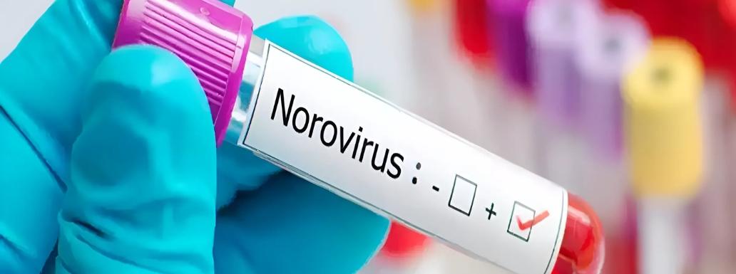 Norovirus has Infected Many Countries including UK