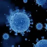 Human Coronavirus HKU1