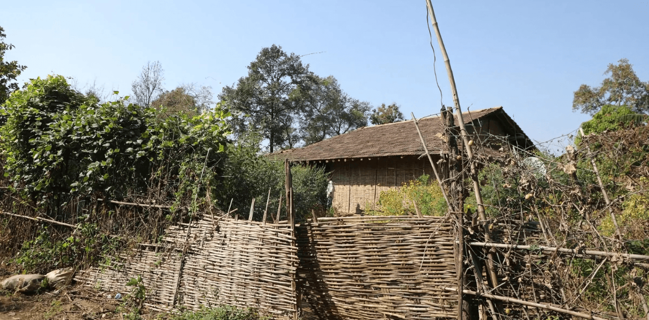 Transforming Lives: Dhaj Village Leads the Way as India’s First Eco-Village