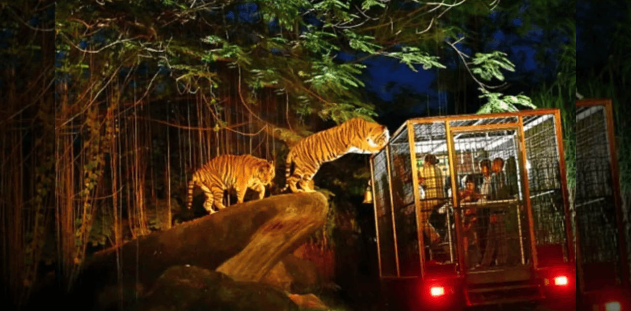 UP Government to Build India’s First Night Safari in Lucknow