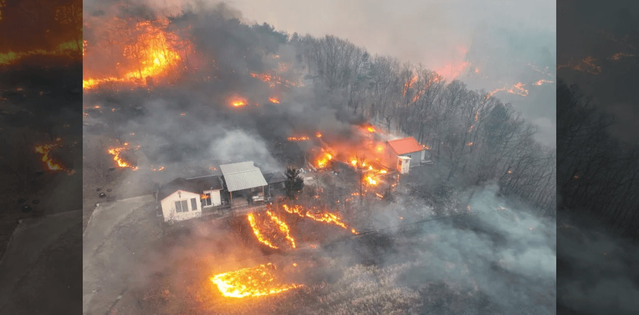 Centuries-old Buddhist Temple Destroyed in Deadly South Korea wildfires