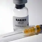 Rabies Vaccine