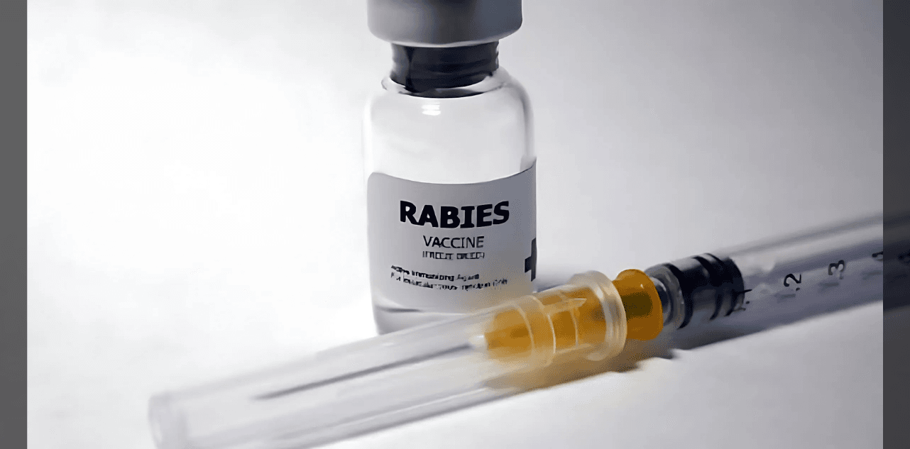 Bengaluru’s R&D Labs Discovers Remedy for Rabies